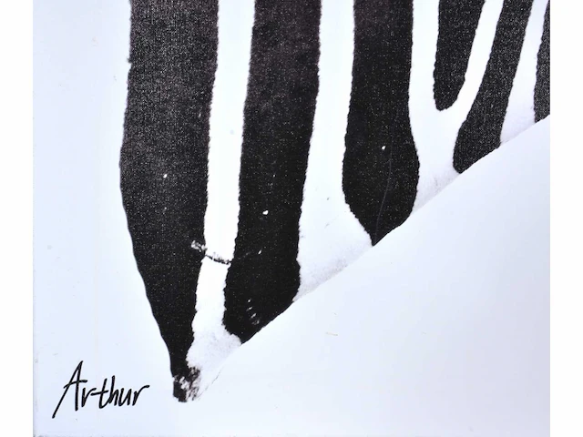 Arthur batenburg - afbeelding 3 van  5