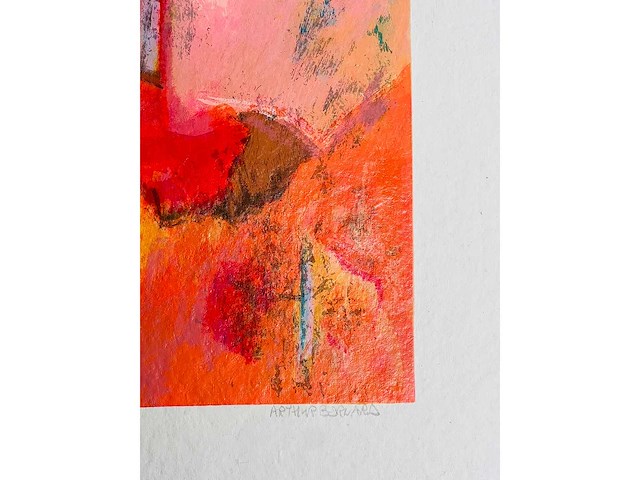 Arthur bernard - kleurenzeefdruk - afbeelding 8 van  16