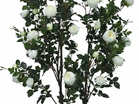 Artificial cambbage rose tree 210cm - afbeelding 1 van  2