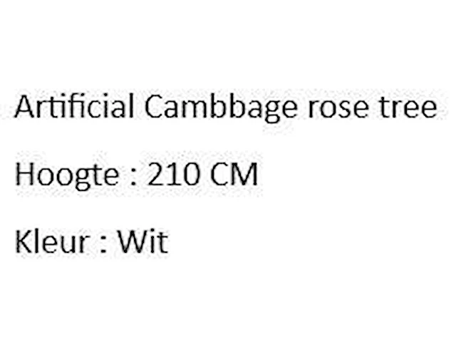 Artificial cambbage rose tree 210cm - afbeelding 2 van  2