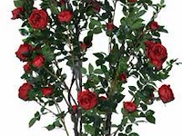 Artificial cambbage rose tree 210cm - afbeelding 1 van  2
