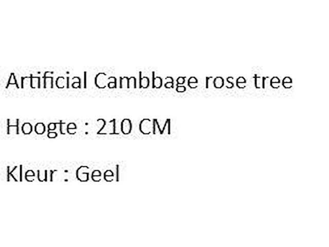 Artificial cambbage rose tree 210cm - afbeelding 2 van  2