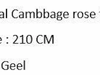 Artificial cambbage rose tree 210cm - afbeelding 2 van  2
