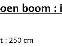 Artificial citroen boom 250cm - afbeelding 2 van  2