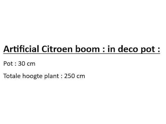 Artificial citroen boom 250cm - afbeelding 2 van  2