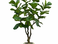 Artificial ficus lyrata 230cm - afbeelding 1 van  2