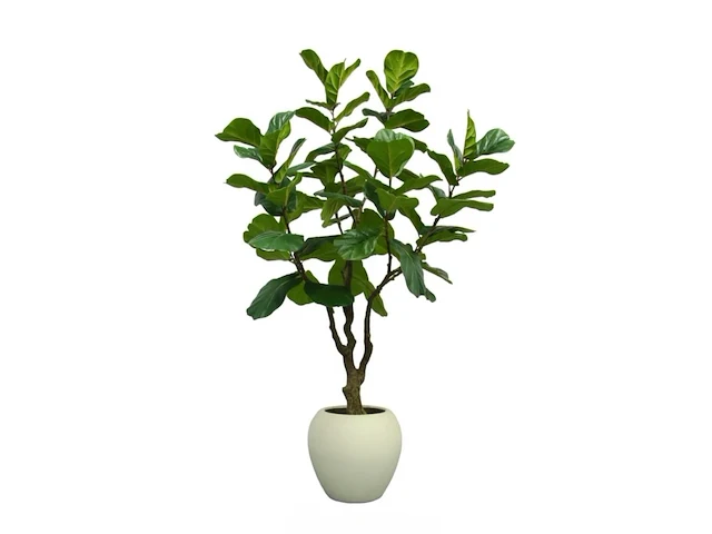 Artificial ficus lyrata 230cm - afbeelding 1 van  2