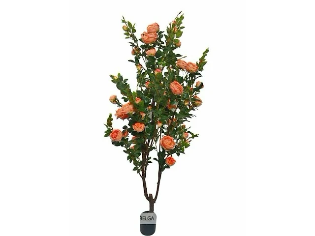 Artificial rozen plant - afbeelding 1 van  1