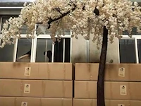 Artificial sakura tree 300cm - afbeelding 1 van  2