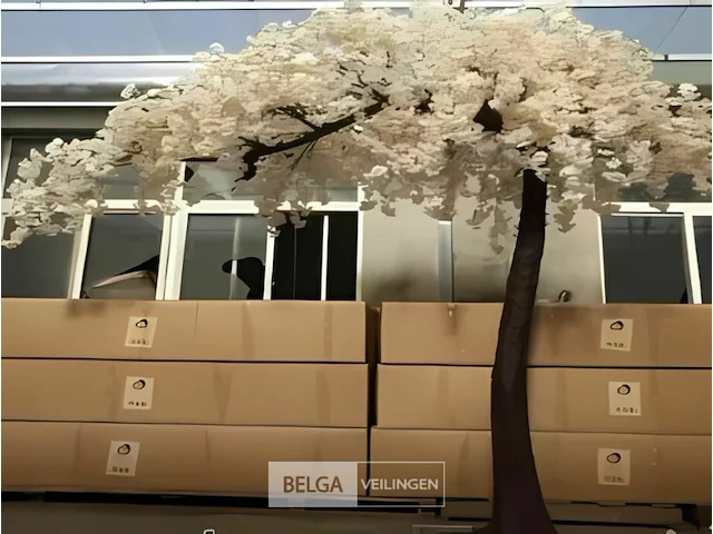 Artificiële sakura boom kleur champagne - afbeelding 1 van  1
