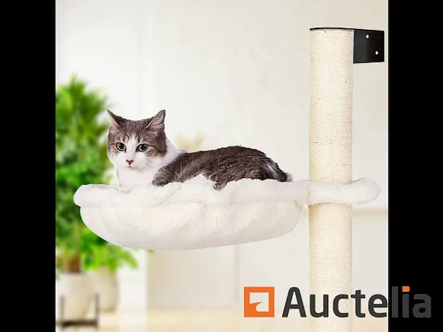 As tot cat wand 104 cm - cat scraper - afbeelding 1 van  8