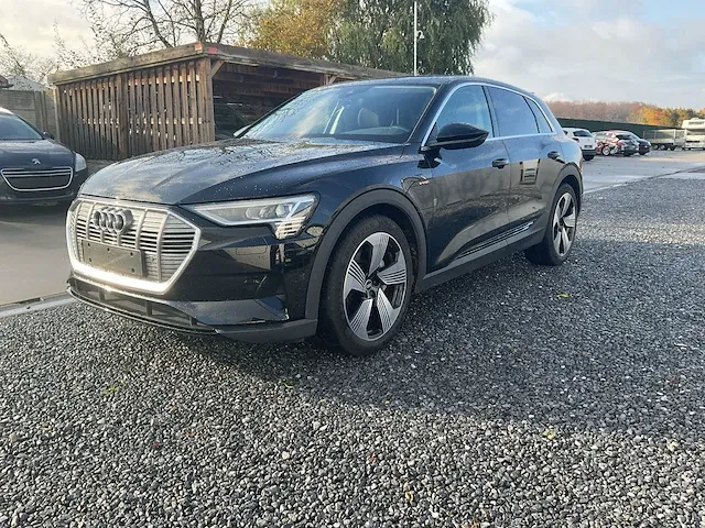 Audi e-tron 50 quattro - afbeelding 1 van  22