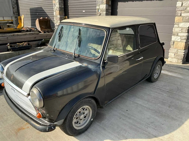 Austin mini voorouders uit 1981 - afbeelding 1 van  21
