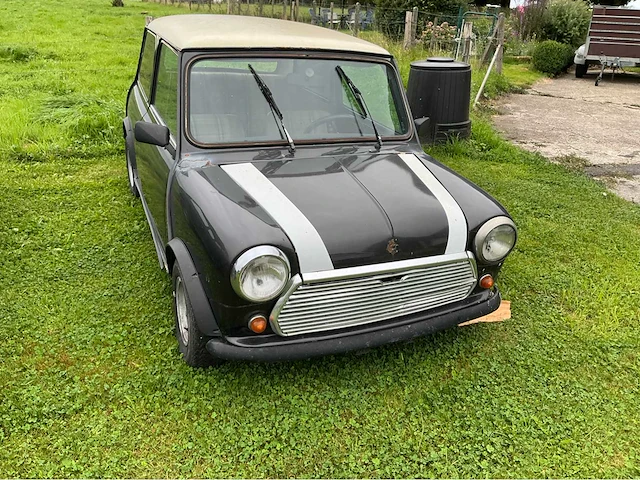 Austin mini voorouders uit 1981 - afbeelding 18 van  21