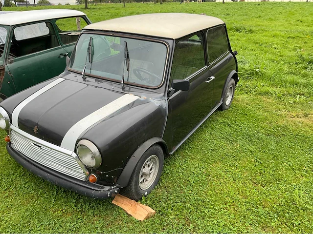 Austin mini voorouders uit 1981 - afbeelding 19 van  21