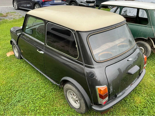 Austin mini voorouders uit 1981 - afbeelding 20 van  21