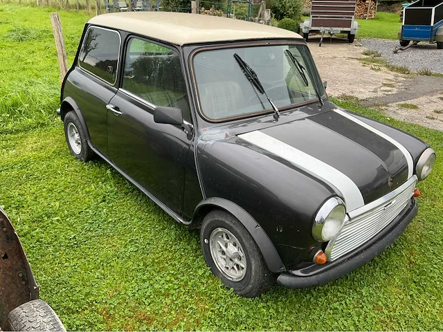 Austin mini voorouders uit 1981 - afbeelding 21 van  21