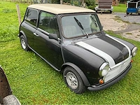 Austin mini voorouders uit 1981 - afbeelding 21 van  21