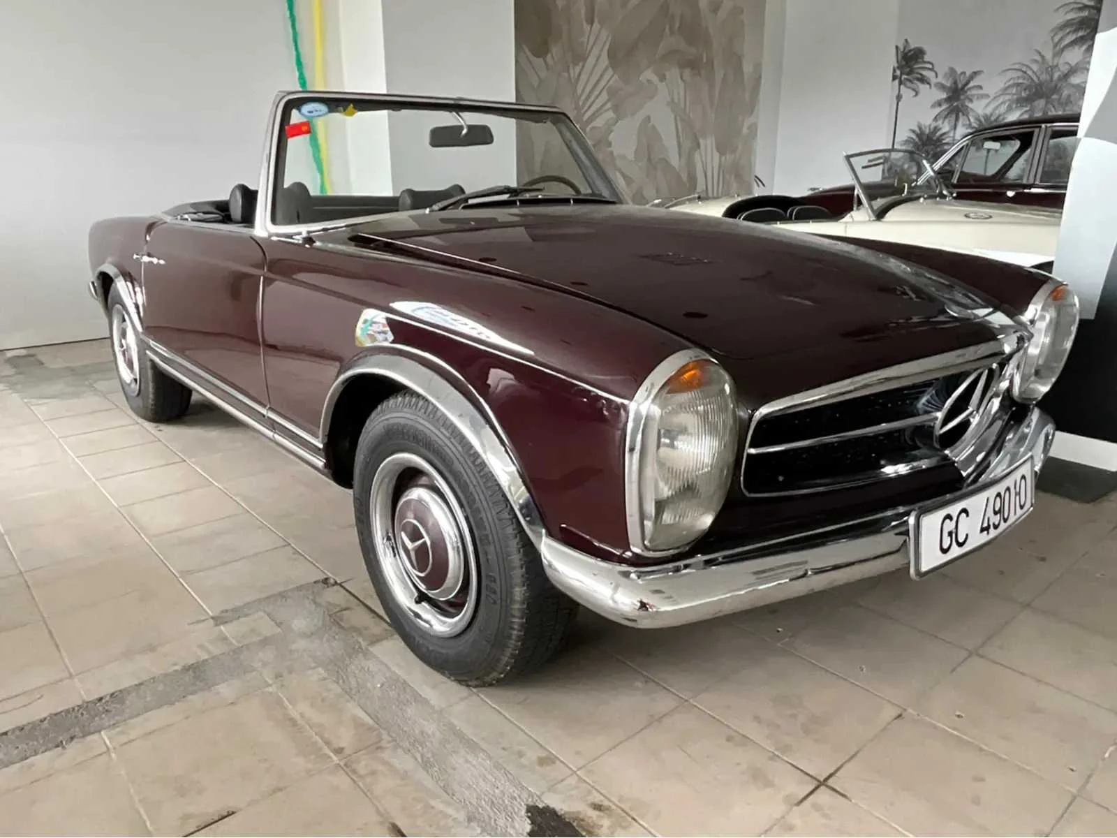Auto's & transport