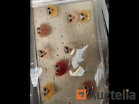 Autres industries: lot 145: esthetiques - afbeelding 20 van  33