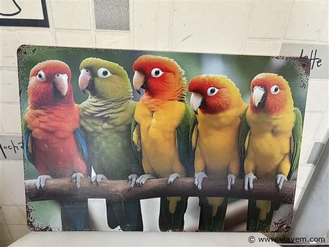 B- keuze sierbord - afbeelding 1 van  1
