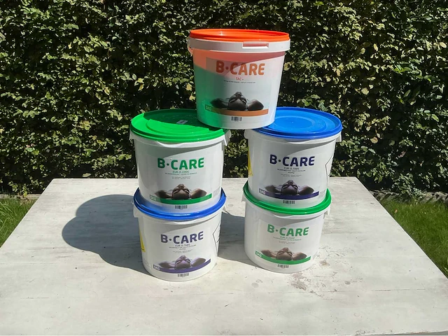 B-care chloor-waterbehandeling zwembad onderhoud - afbeelding 1 van  2