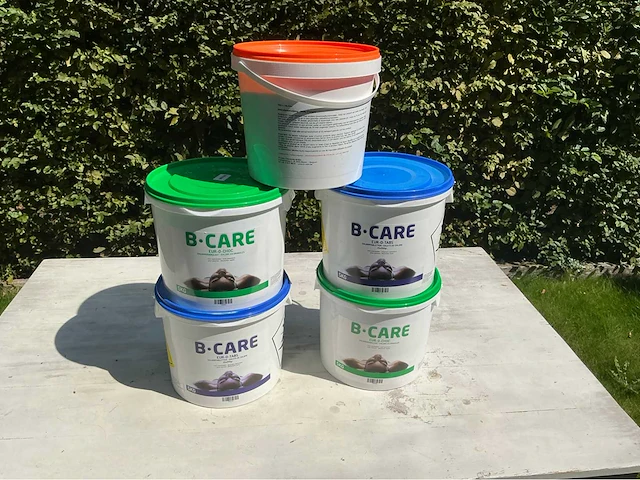 B-care chloor-waterbehandeling zwembad onderhoud - afbeelding 2 van  2