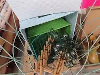 Badjes, decoratie en paar schoenen - afbeelding 5 van  5