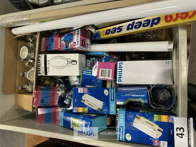 Bak met diverse lampen - afbeelding 5 van  6