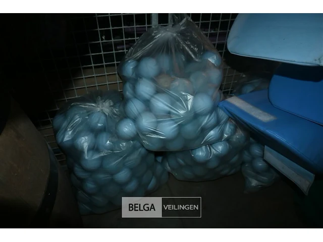 Ballenbad - afbeelding 4 van  5