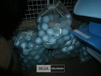 Ballenbad - afbeelding 4 van  5