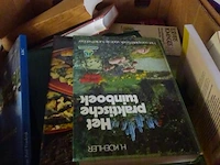 Bananendoos boeken - afbeelding 1 van  2