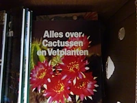 Bananendoos boeken - afbeelding 2 van  2