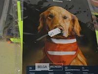 Bandana hond s - afbeelding 2 van  3