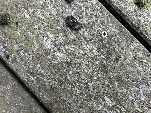 Bankirai terras (+/- 14m²) - afbeelding 3 van  3