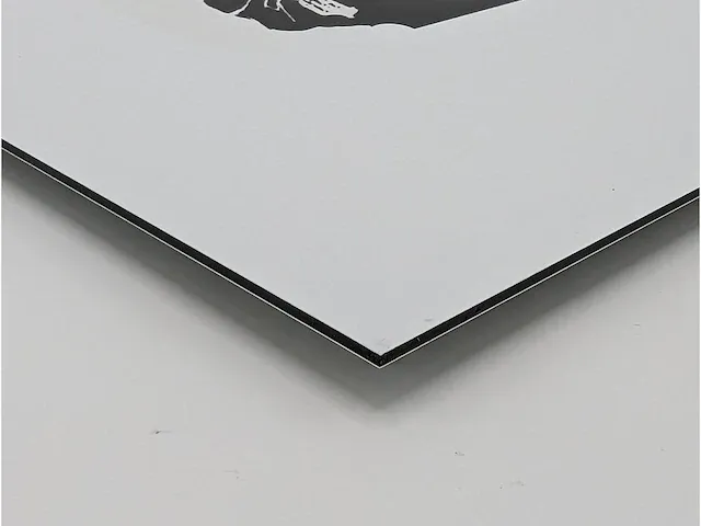 Banksy - fuck de politie - dibond loting met coa - afbeelding 2 van  4