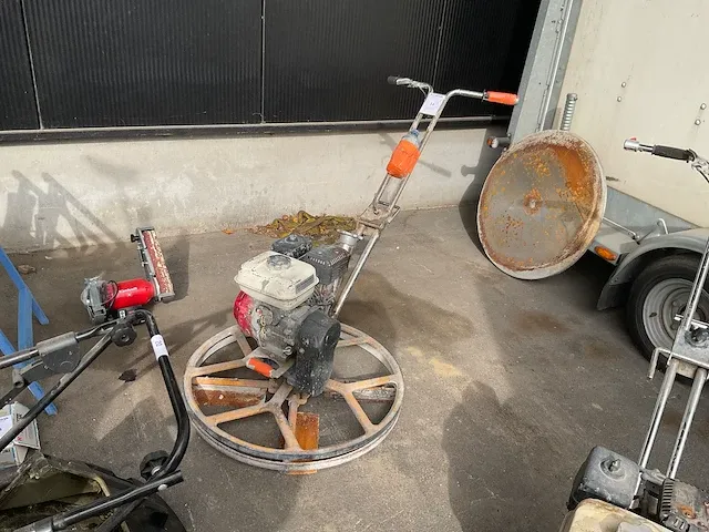 Barikell cementvlinder - afbeelding 1 van  6