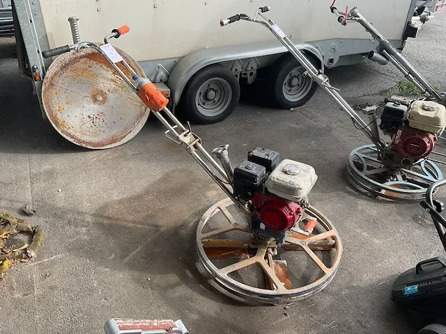 Barikell cementvlinder - afbeelding 4 van  6