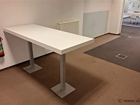 Bartafel pedrali