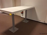 Bartafel pedrali - afbeelding 3 van  7