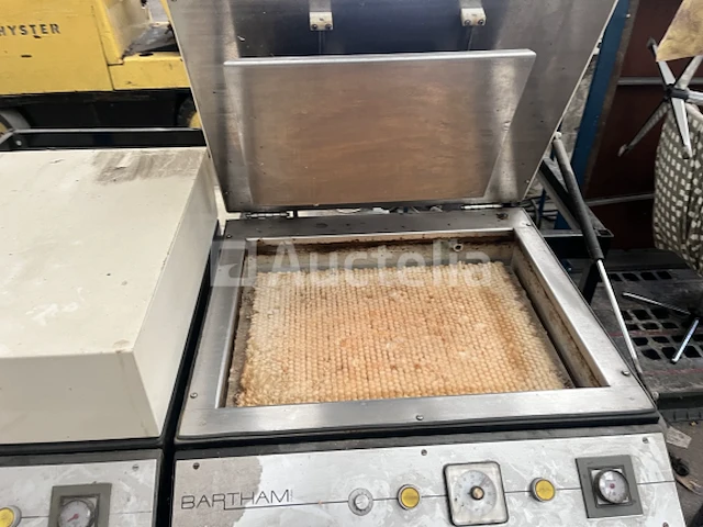 Bartham fotopolymeer - afbeelding 6 van  10