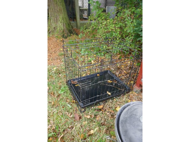 Bbq en kennel - afbeelding 5 van  5