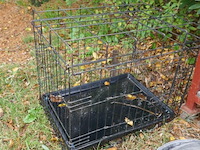 Bbq en kennel - afbeelding 5 van  5