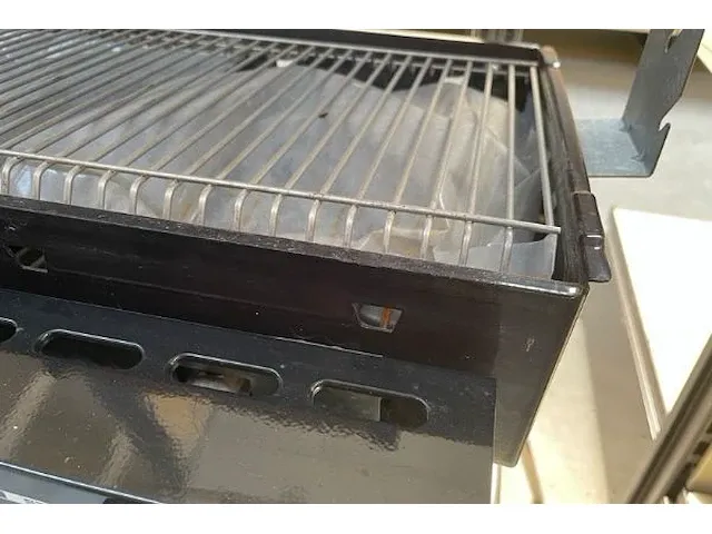 Bbq lilor - afbeelding 3 van  7