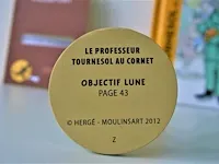 Beeld #17 "prof. zonnebloem astronaut" + boek - afbeelding 6 van  7