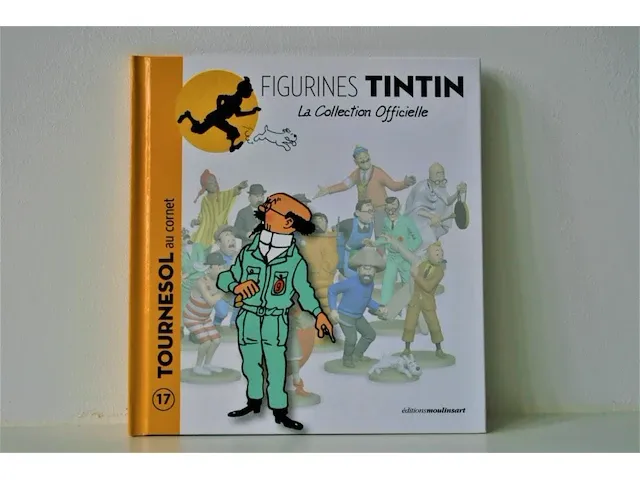 Beeld #17 "prof. zonnebloem astronaut" + boek - afbeelding 7 van  7