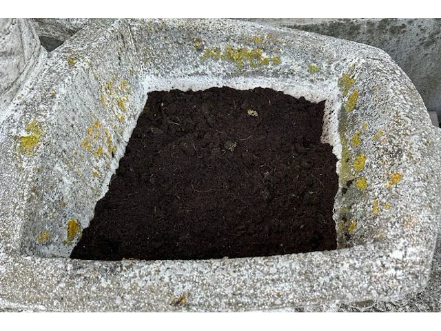 Beeld met bloempot - afbeelding 5 van  5