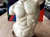 Beeld torso - afbeelding 1 van  1