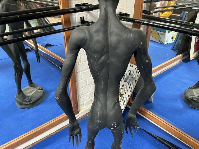 Beeld van alien - afbeelding 2 van  14