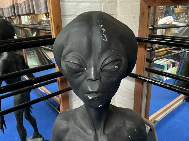 Beeld van alien - afbeelding 8 van  14